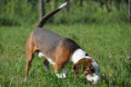 Bild 17