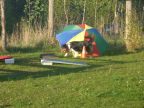 Bild 18