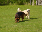 Bild 25