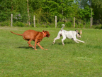 Bild 28