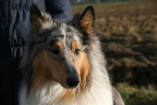 Bild 50